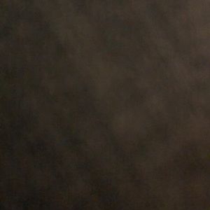 Meet your Posher, Paul